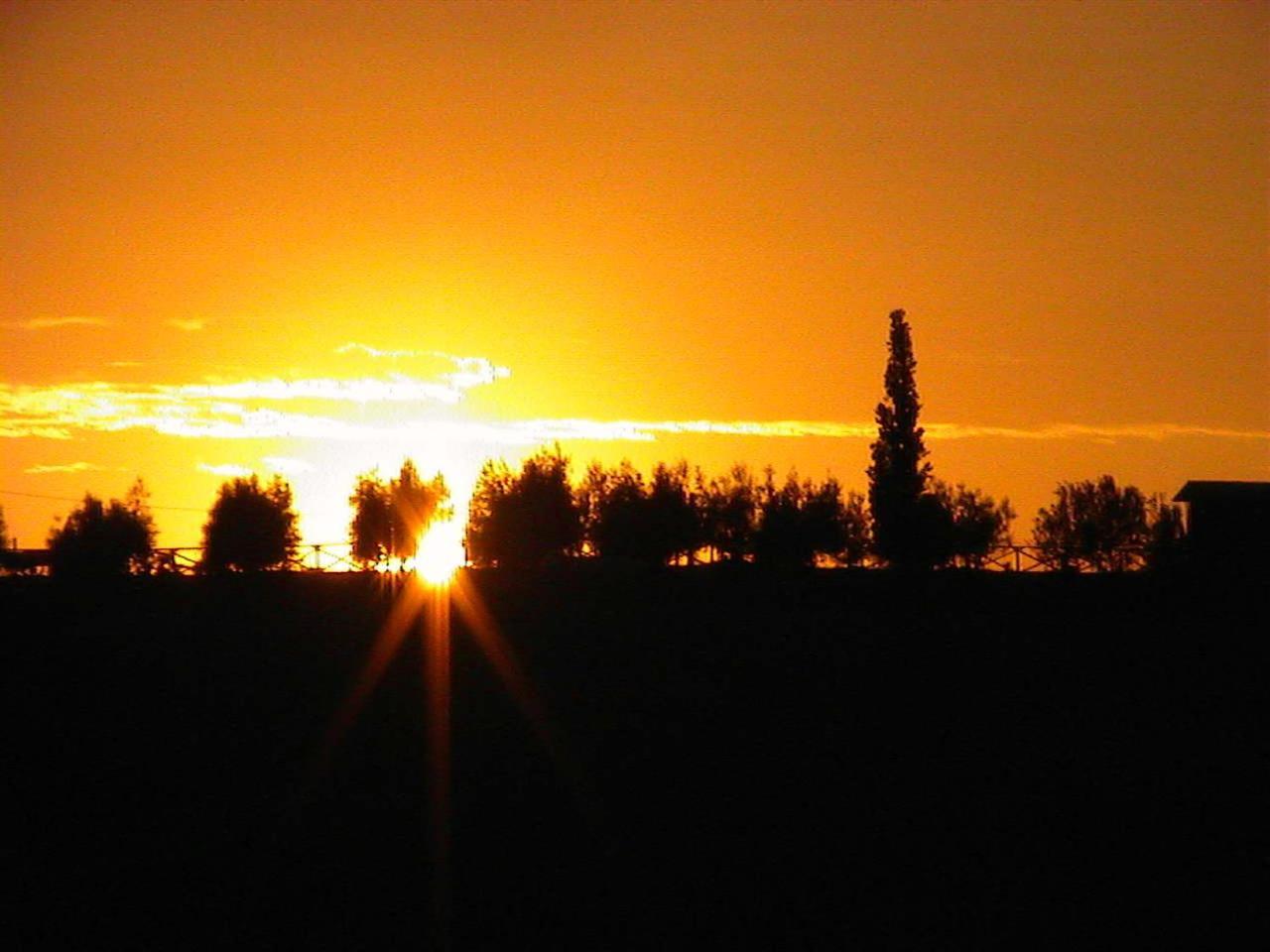 Agriturismo Le Docce Castelfiorentino Exterior photo